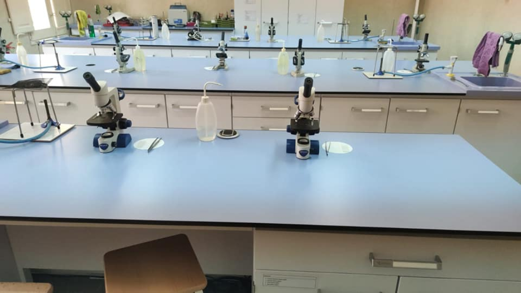 Students working in a science laboratory