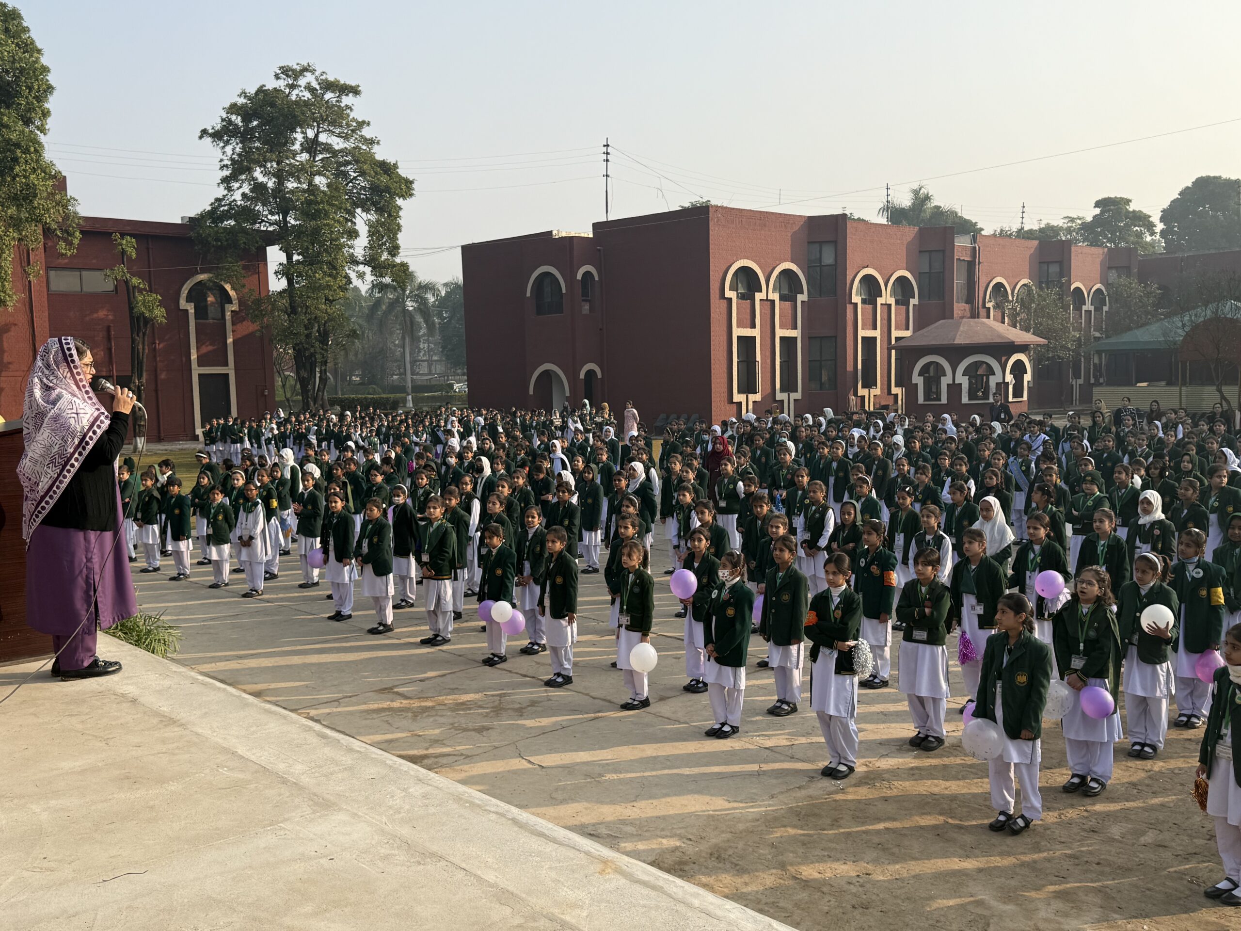 Library shelves and student reading